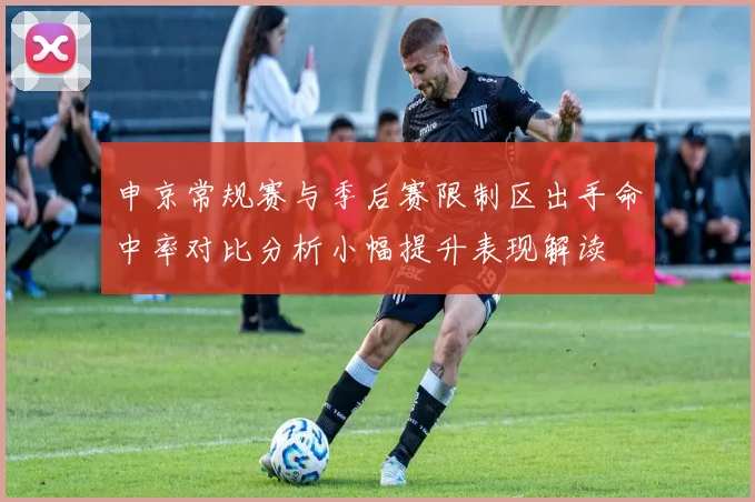 申京常规赛与季后赛限制区出手命中率对比分析小幅提升表现解读